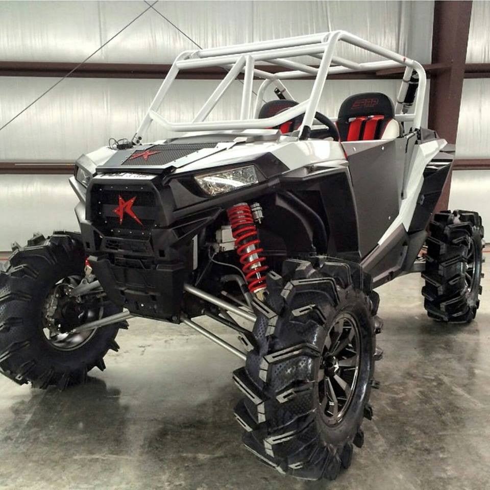 Rogue Offroad RZR 1000 Custom Cage